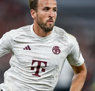 展现了NB 展现了NB