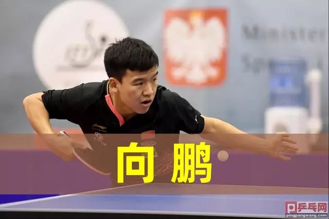 而在中澳大 而在中澳大