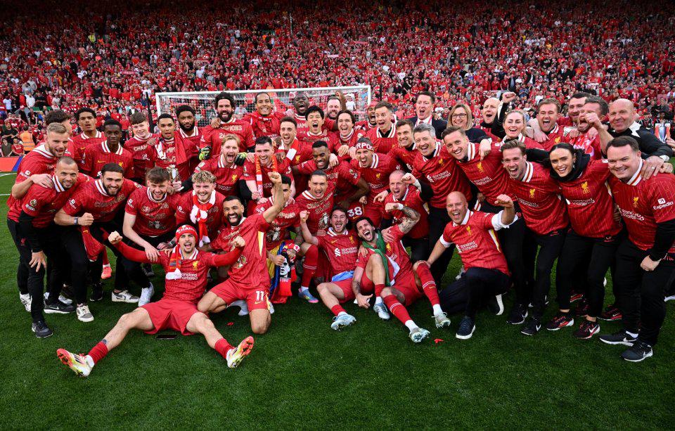 新平台项目 新平台项目